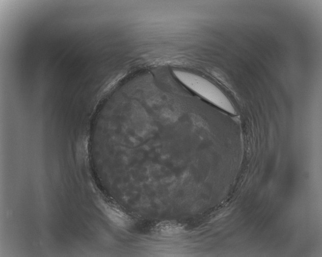 X0000062830491200601171423