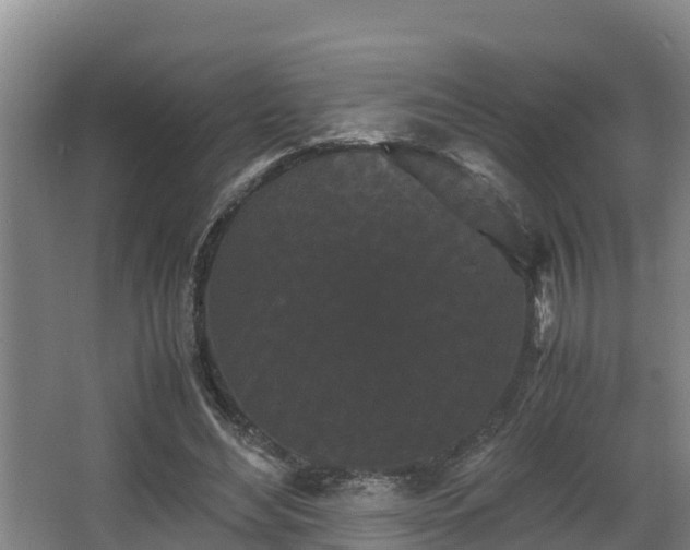 X0000062830492200601171423