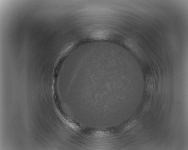 X0000062830494200601171423