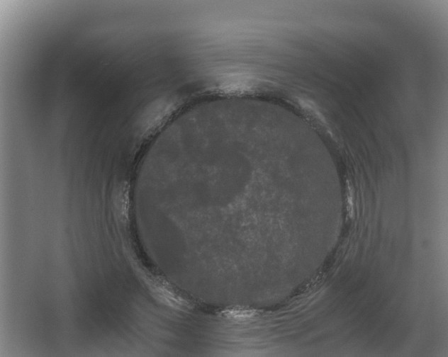 X0000062830495200601171423