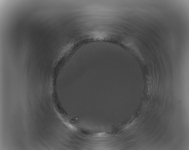 X0000062830496200601171423