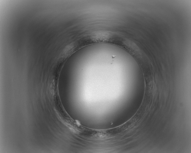 X0000062830498200601171423