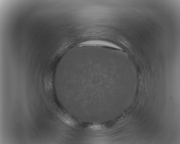 X0000062830499200601171423