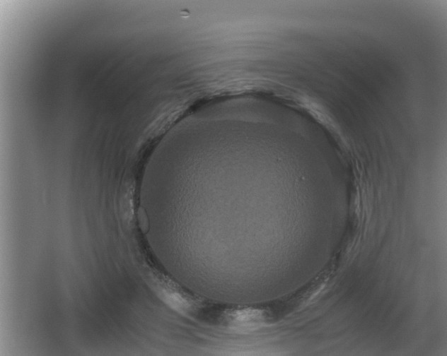 X0000062830501200601171423