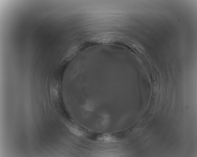 X0000062830503200601171423