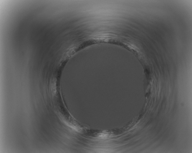 X0000062830504200601171423