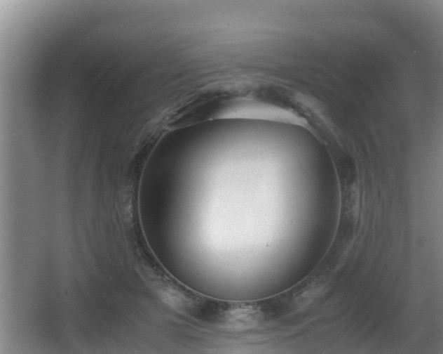 X0000062830505200601171423