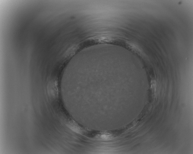 X0000062830506200601171423