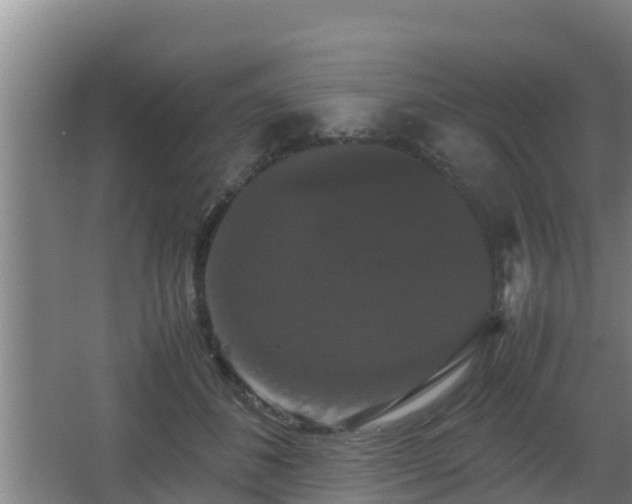 X0000062830508200601171423