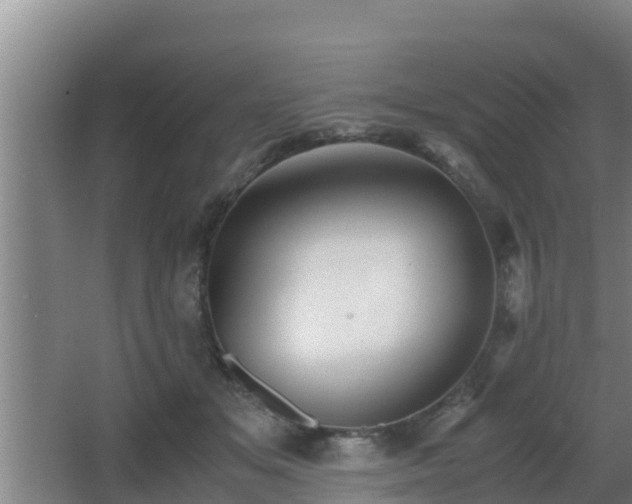 X0000062830509200601171423