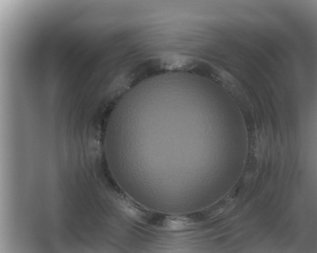 X0000062830510200601171423