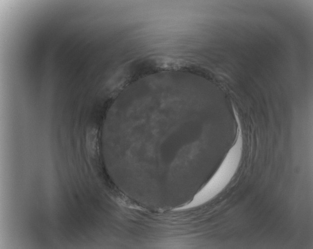 X0000062830511200601171423