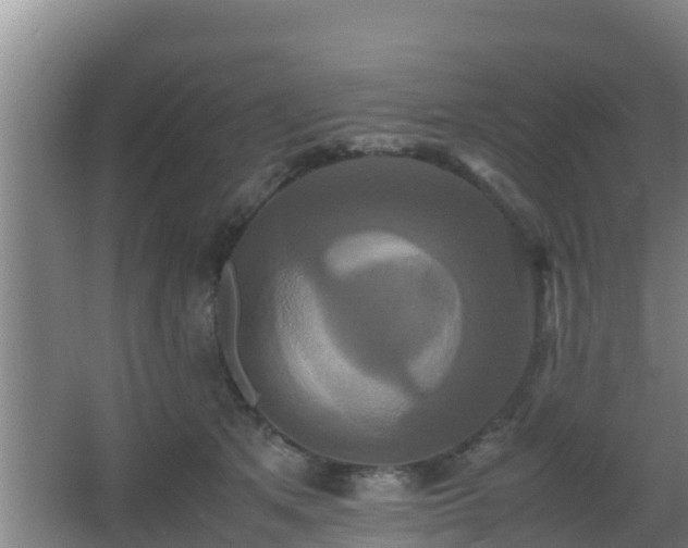 X0000062830513200601171423