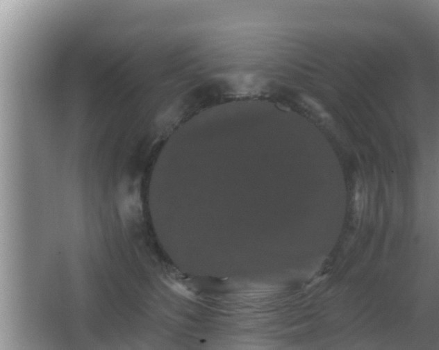 X0000062830516200601171423