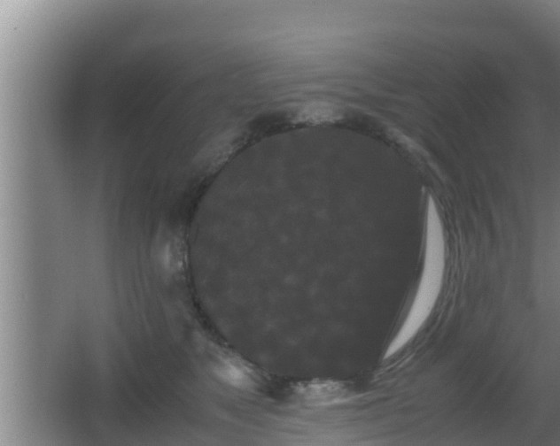 X0000062830517200601171423