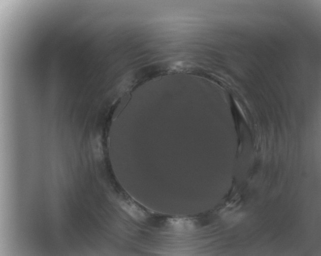 X0000062830520200601171423