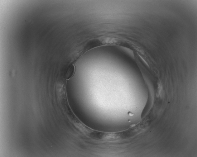 X0000062830521200601171423