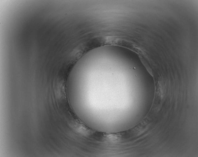 X0000062830522200601171423