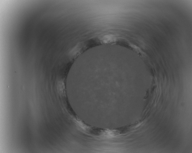 X0000062830523200601171423