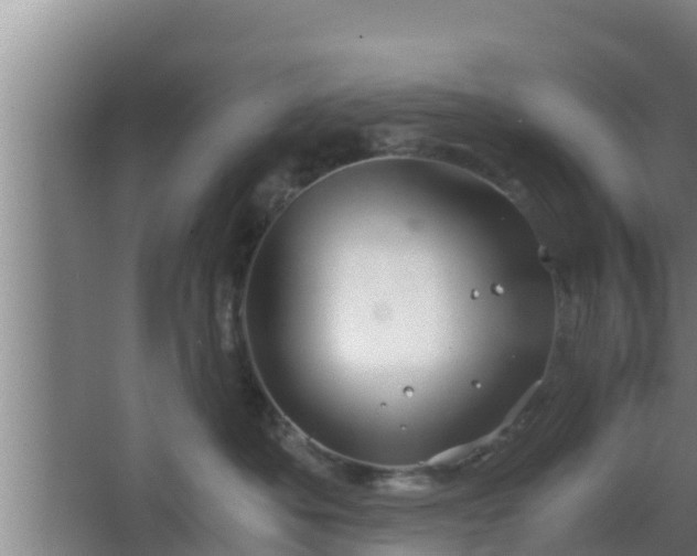 X0000062830525200601171423