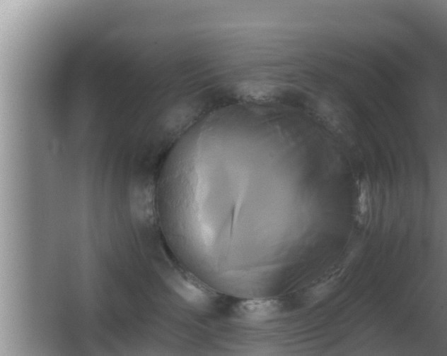 X0000062830526200601171422