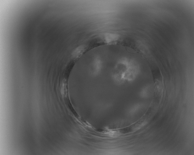 X0000062830527200601171422