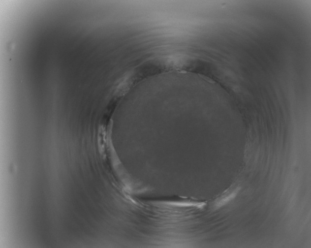 X0000062830528200601171422