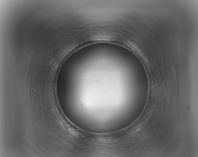 X0000062830529200601171422