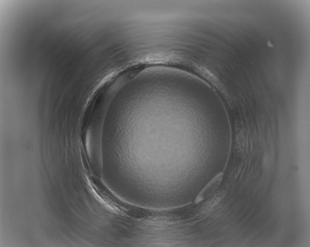 X0000062830530200601171422