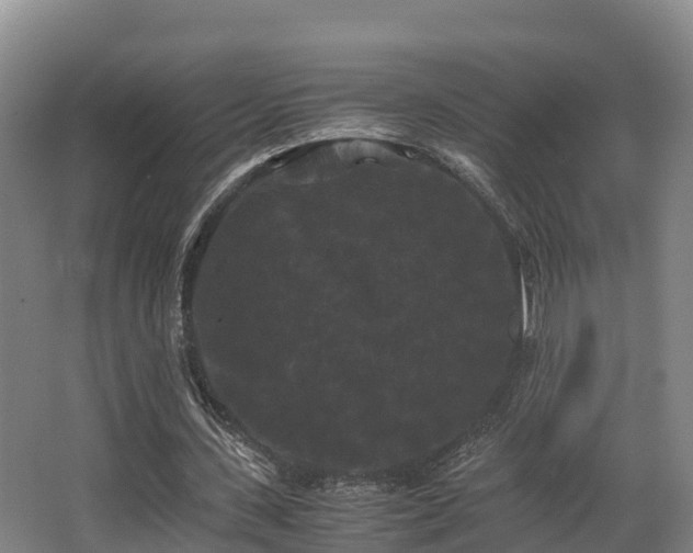 X0000062830531200601171422