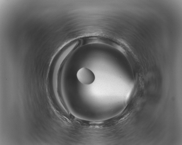 X0000062830532200601171422