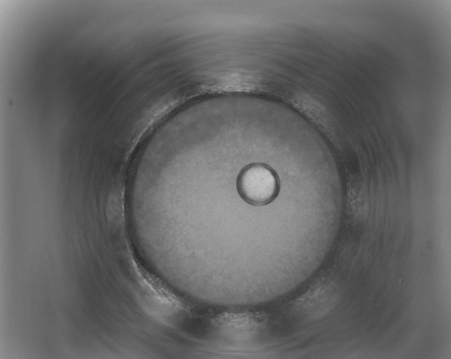 X0000062830534200601171422