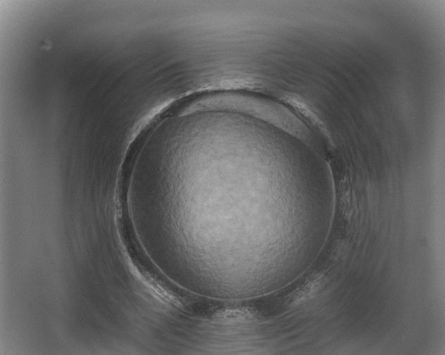 X0000062830536200601171422