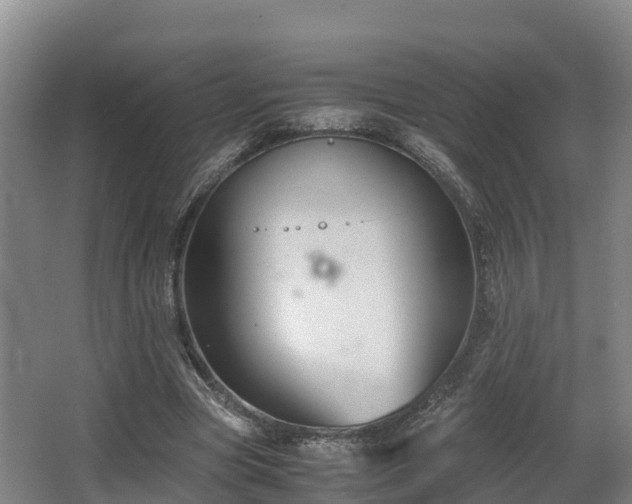 X0000062830537200601171422