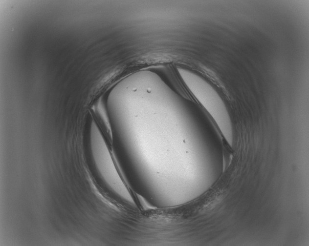 X0000062830538200601171422