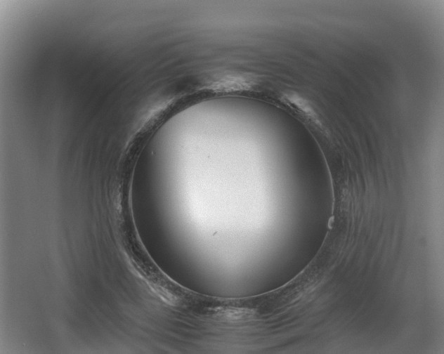 X0000062830539200601171422