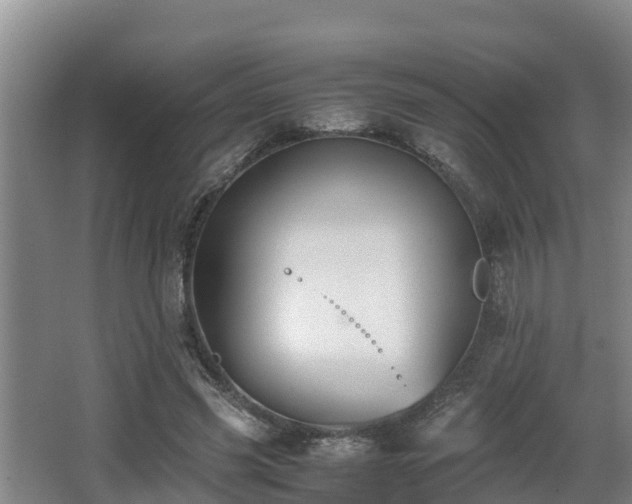 X0000062830541200601171422