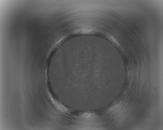 X0000062830542200601171422