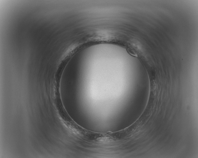 X0000062830544200601171422