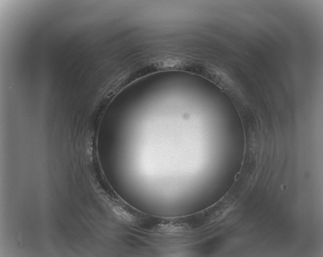 X0000062830545200601171422