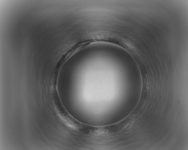 X0000062830546200601171422