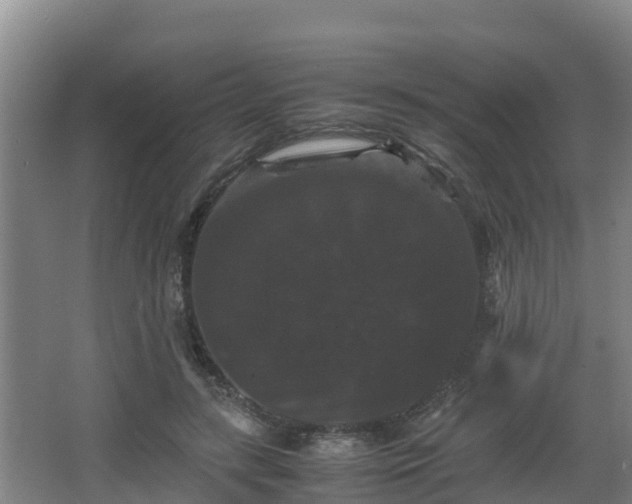 X0000062830547200601171422