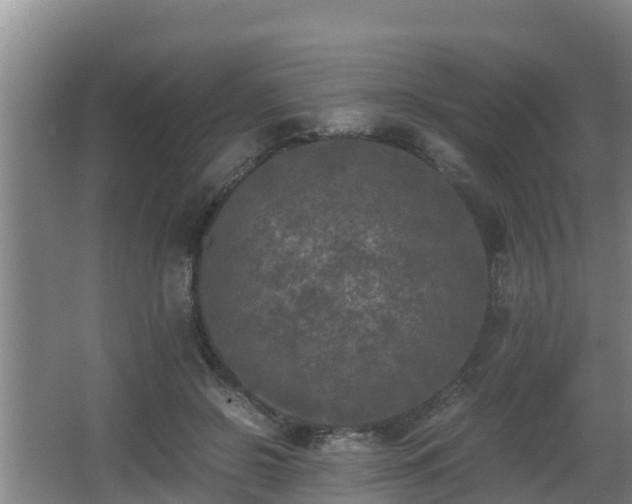 X0000062830550200601171422