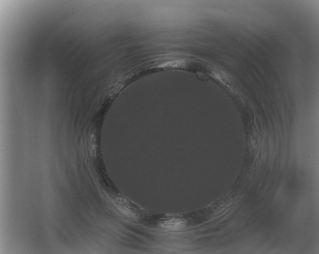 X0000062830551200601171422