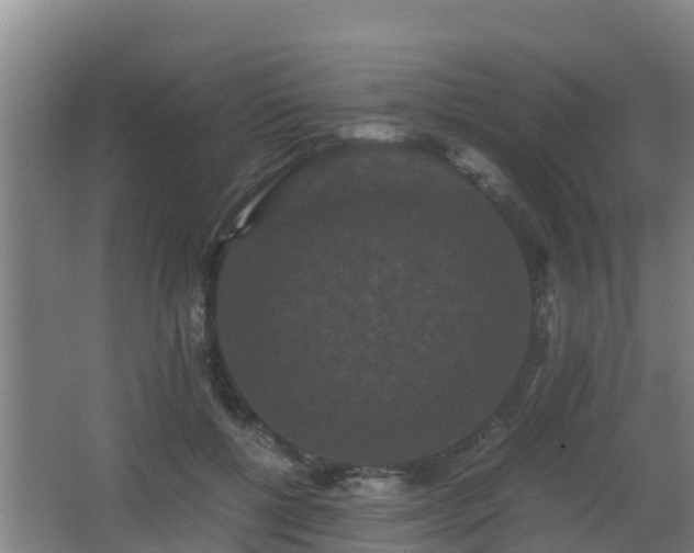 X0000062830552200601171422