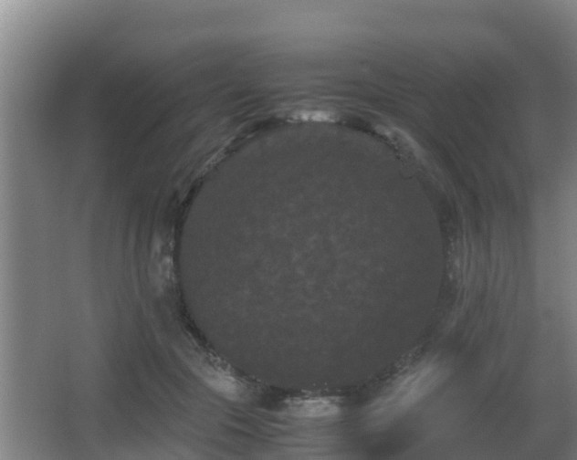 X0000062830553200601171422