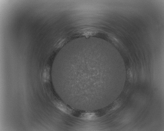 X0000062830554200601171422