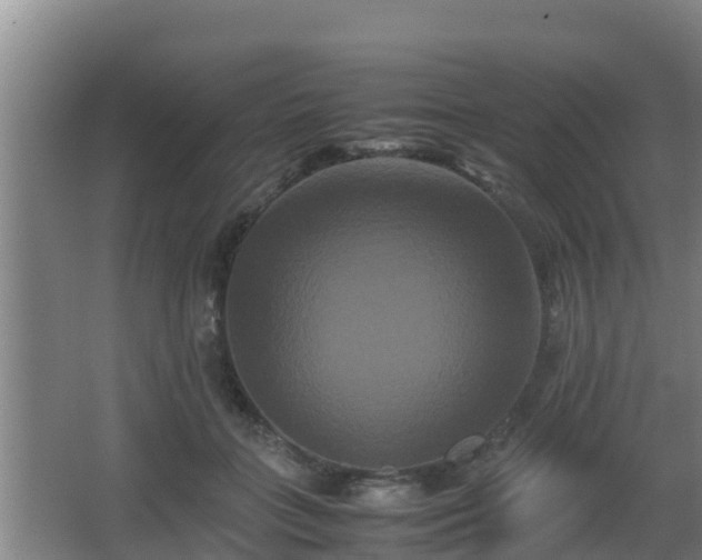 X0000062830555200601171422