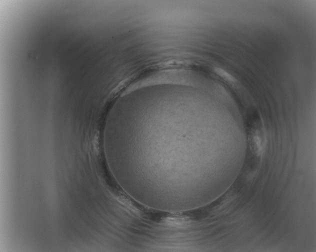 X0000062830556200601171422