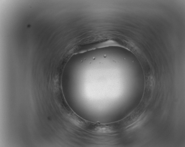 X0000062830557200601171422